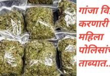 नाशिक मध्ये गांजा विकणारी महिला पोलिसांच्या ताब्यात…